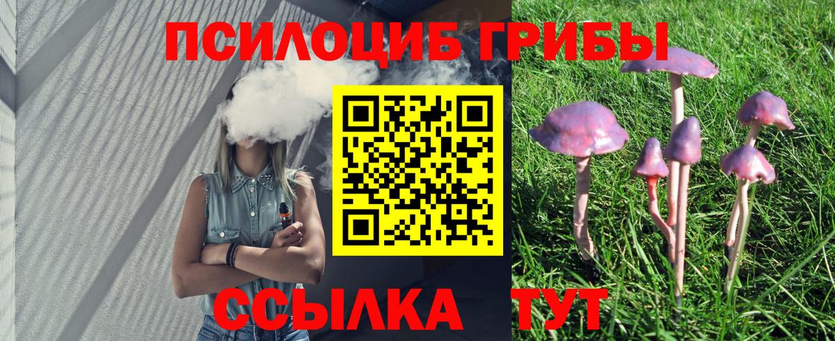 Альметьевск  магазин  наркотиков  Вход с VPN  Псилоцибиновые грибы GOLDEN TEACHER 