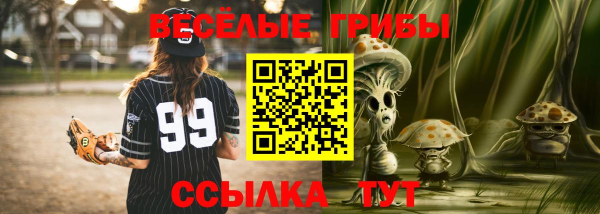 Псилоцибиновые грибы Psilocybe Альметьевск