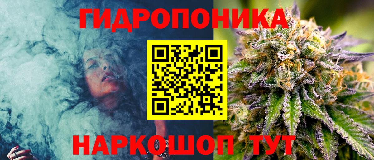 Конопля ГИДРОПОН  Бошки Шишки сатива  Альметьевск  Марихуана OG Kush  Вход с VPN  Канабис сатива 